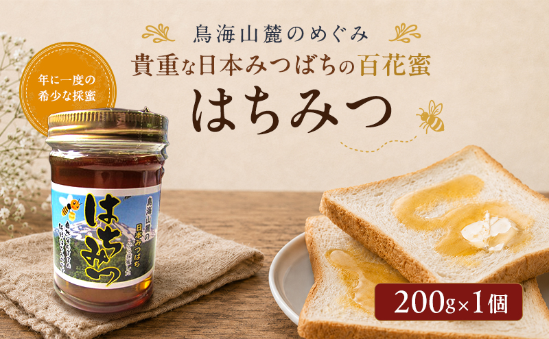 日本みつばちのはちみつ 百花蜜 200g×1個 ( 蜂蜜 国産 ) はちみつ ハチミツ 秋田県 にかほ