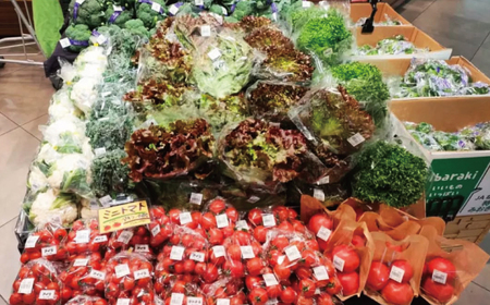 朝採れ 新鮮 野菜セット 約 5kg  農家直送