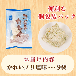 骨取りかれい フライ のり塩ガーリック味 9袋 フライ JT003
