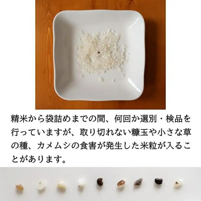【令和8年産・玄米24kg（4kg×6袋）】特別栽培米　五郎兵衛米 〈2026年9月下旬頃～順次発送〉 先行予約　新米　信州　こしひかり