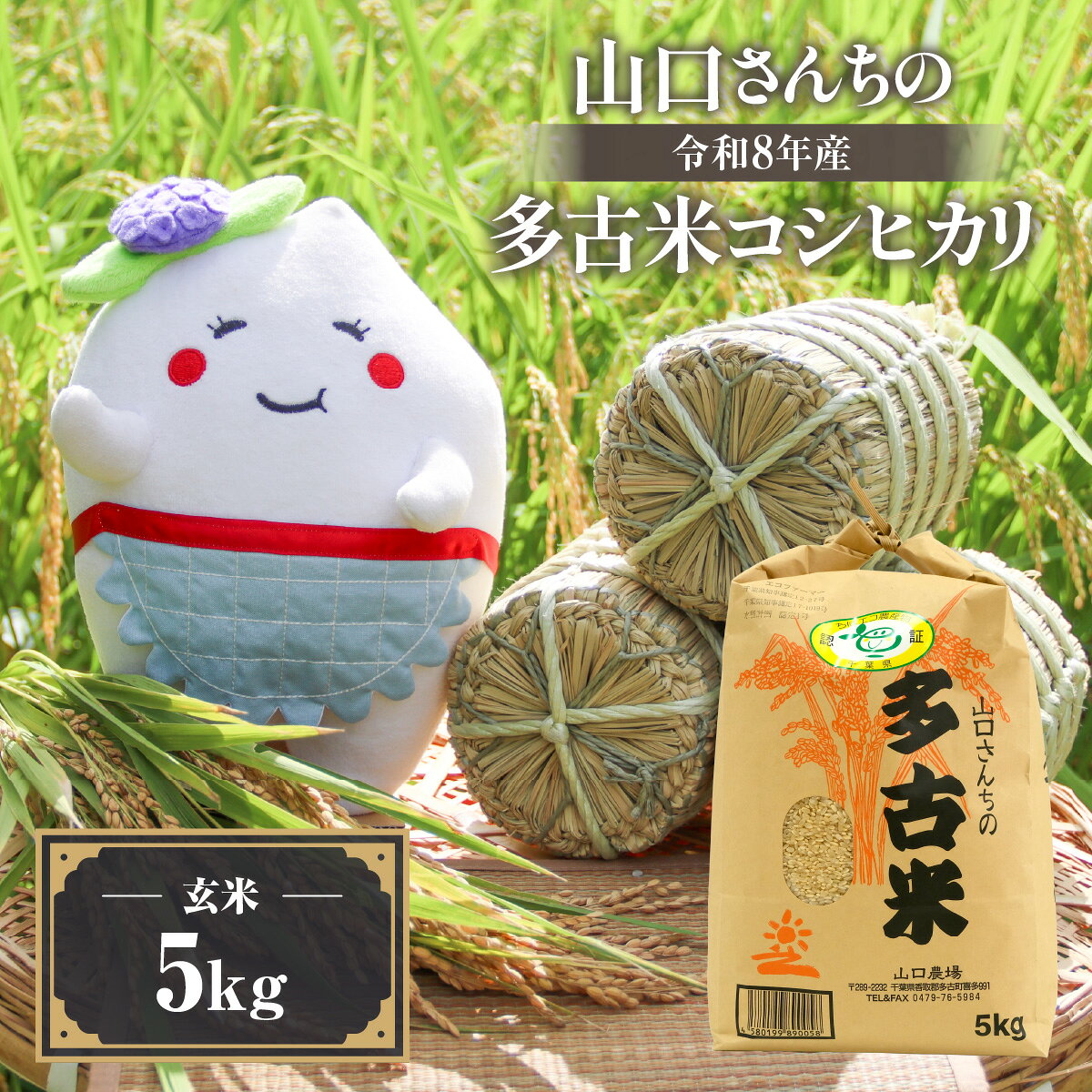 【ふるさと納税】山口さんちの【令和8年産】多古米コシヒカリ(玄米)5kg【配送不可地域：離島・沖縄県】【TAKF045】