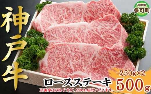 
                  神戸牛 ロースステーキ 500g TKST5 [1212]
                