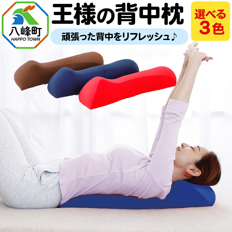 【ふるさと納税】王様の背中枕【選べるカラー】