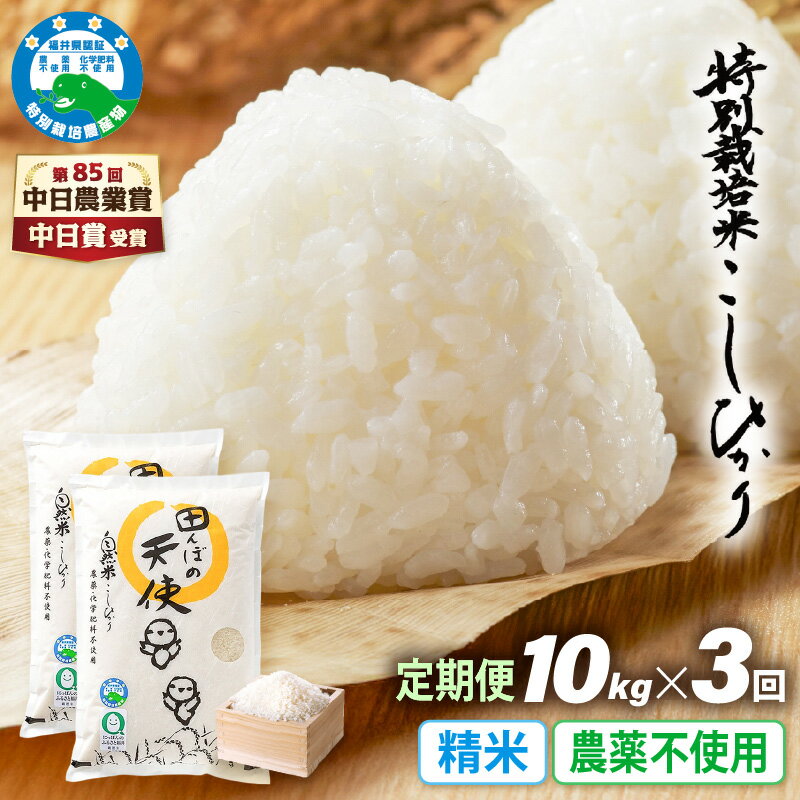 【ふるさと納税】《3ヶ月定期便》農薬不使用 こしひかり 10kg（5kg×2袋）×3ヶ月連続 計30kg 令和7年産 特別栽培米コシヒカリ【精米】福井県認証区分1取得「田んぼの天使」越前町【5キロ お米 コメ 農薬化学肥料不使用 送料無料】
