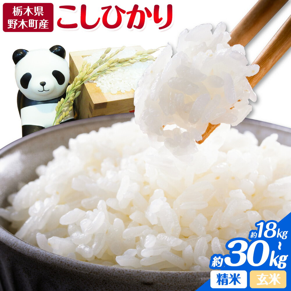 【ふるさと納税】米 令和7年産 お米 コシヒカリ こしひかり 18kg 20kg 30kg 精米 玄米 鈴木農園《30日以内に出荷予定(土日祝除く)》 栃木県 野木町産 約20kg 栃木県 野木町産 白米 精米方法