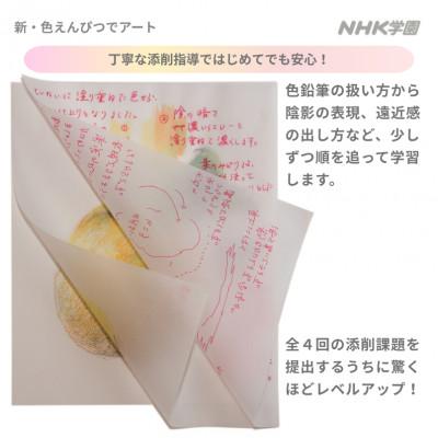 ふるさと納税 国立市 通信講座　新・色えんぴつでアート(教具付) |  | 02