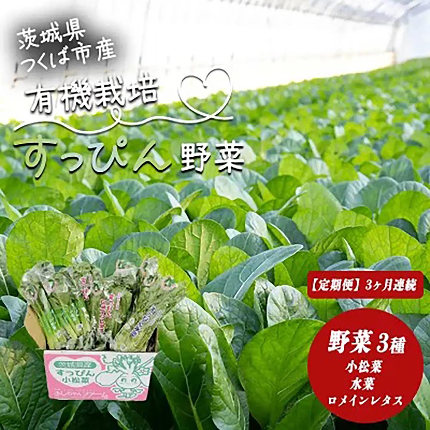 3ヵ月定期便 すっぴん有機やさいセット(小松菜・水菜・ロメインレタス) │ オーガニック 野菜