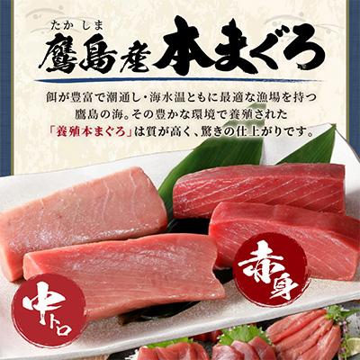 ふるさと納税 松浦市 鷹島産本まぐろ1kg　まぐろ丼のたれ付き |  | 01