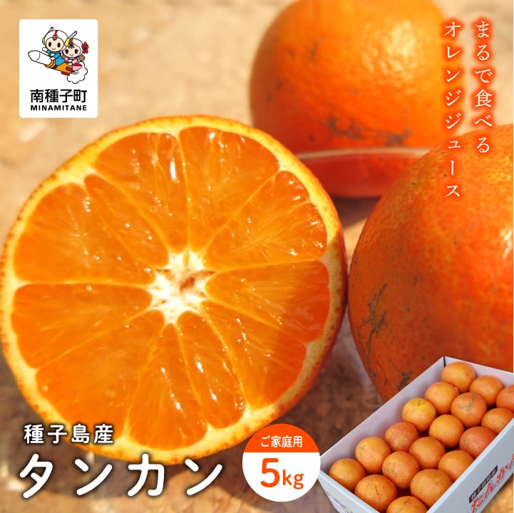【ふるさと納税】 《 先行予約 》《 2026年2月中旬〜3月中旬頃順次発送 》 種子島産タンカン 約 5kg ( 24玉 ～ 36玉 ) 家庭用 タンカン たんかん オレンジ みかん 柑橘 果物 フルーツ グルメ お取り寄せ お正月 人気 返礼品 南種子町 鹿児島 かごしま 【南種子町果樹部会】