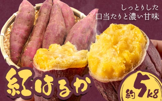 さつまいも 紅はるか 約5kg 株式会社シグマサポート《2025年10月中旬-12月中旬頃出荷予定(土日祝除く)》送料無料 サツマイモ 三重県 東員町 お菓子 おやつ 紅はるか やきいも さつまいも 手軽(F)