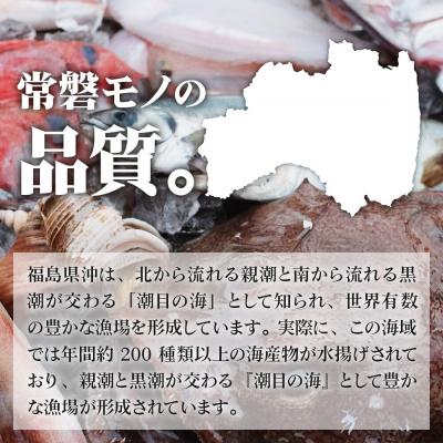 ふるさと納税 名取市 常磐モノ4種入り ゴロゴロ海鮮ユッケ丼 100g×5P|21_sss-140501 |  | 01