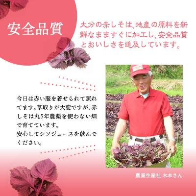 ふるさと納税 大分市 赤しそジュース　オリゴ糖タイプ　900ml×3本_F10039 |  | 02