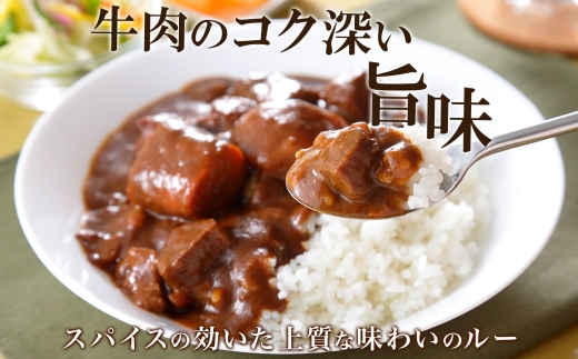 507.ビーフカレー 10個 セット 中辛 牛肉 業務用 レトルトカレー レトルト食品 野菜 備蓄 まとめ買い 20000円 北海道 弟子屈町