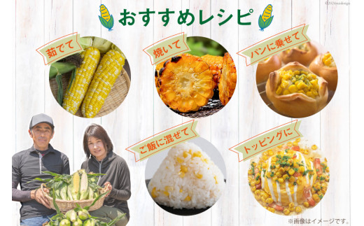 AI207【令和8年度出荷分】とうもろこし スイートコーン イエロー 2L~3Lサイズ 11本~12本 計5kg [ トウモロコシ コーン ゴールドラッシュ 野菜 5キロ さかいさんち SAKAI F