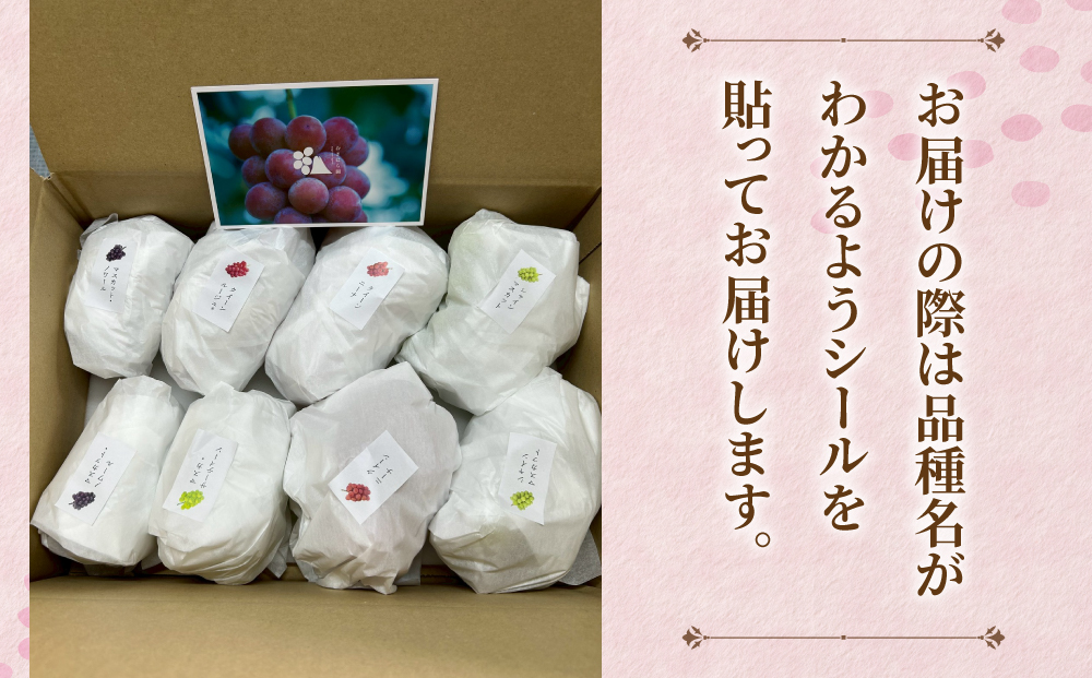【おぎはら園】農家直送！贈答用3色ぶどうの詰め合わせセット 2kg（4～5房）｜シャインマスカット、種なし巨峰、ナガノパープル 、クイーンニーナ、クイーンルージュ®など　※2025年9月中旬～10月上
