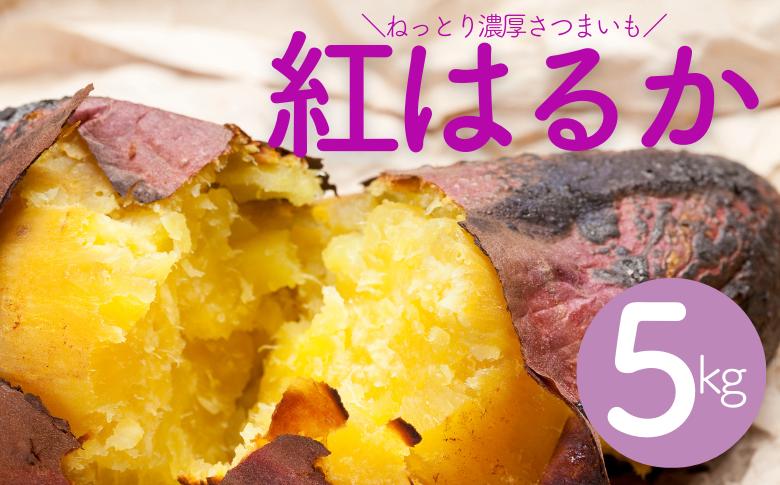 
千葉県産 甘～い！ サツマイモ 紅はるか 5kg 先行予約 受付中 さつまいも べにはるか 熟成 ［岩澤さんの さつまいも ］
