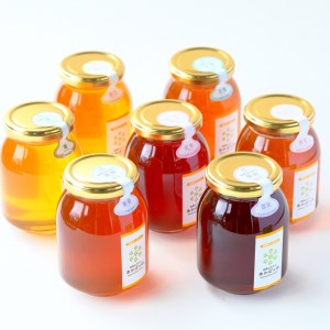【数量限定10セット】【ハチミツ定期便】【先行予約受付】【令和9年5月発送開始】『プレミアム全7種』搾りたて！季節を月ごとに楽しむ「田舎はちみつ」無添加生ハチミツ全7種(500g) ／ 無添加 非加熱