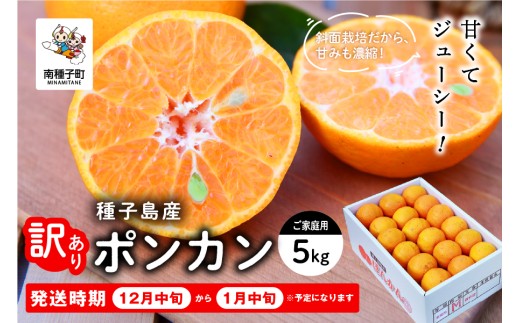 《先行予約》種子島産 ポンカン (ご家庭用) 5kg(24玉～36玉)《2026年12月中旬頃〜1月中旬頃順次発送》