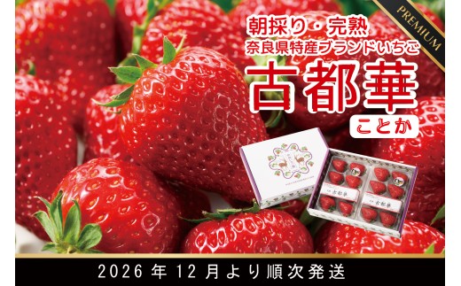 【12月27日決済完了分まで年内発送】増量4パック 先行予約 数量限定 朝採り 古都華 完熟 12月より順次発送奈良県特産 朝採り高級ブランドいちご「古都華」 // いちご イチゴ 古都華 フルーツ 果物 旬 限定  ブランド 朝採り 完熟 いちご ことか イチゴ 先行予約 古都華 数量限定 古都華 甘い 先行受付 予約 贈答用 ギフト 化粧箱 大粒 / 12月28日以降決済分は1月発送
