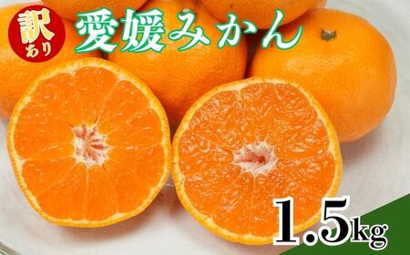 【訳あり】愛媛みかん約1.5kg 青果市場