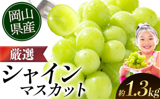 シャインマスカット【2026年出荷先行予約】 ランキング入賞！ 厳選 シャインマスカット 約1.3kg (2-3房)《2026年9月上旬-11月中旬頃に出荷予定》ぶどう 種なし ぶどう 岡山 ぶどう 先行予約 ぶどう シャインマスカット 大粒 シャインマスカットシャインマスカット 岡山 シャインマスカット ぶどう ランキング 受賞