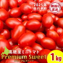 【ふるさと納税】【2025年先行予約】 【朝採れ最短発送！】 Premium Sweet 1kg フルーツミニトマトミニトマト 朝採り 新鮮 生鮮 野菜 トマト ふるさと納税 北海道 東神楽