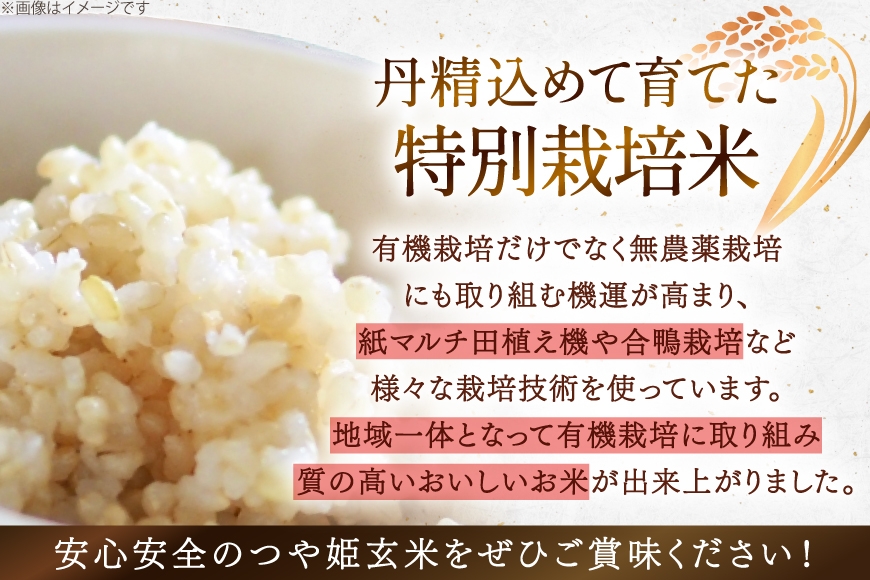 米 令和7年度 特別栽培米 つや姫 玄米 5kg [上和田有機米生産組合 山形県 高畠町 tk06ays640012] お米 玄米 げんまい ブランド米 ごはん ご飯 おこめ 5キロ つやひめ 令和7