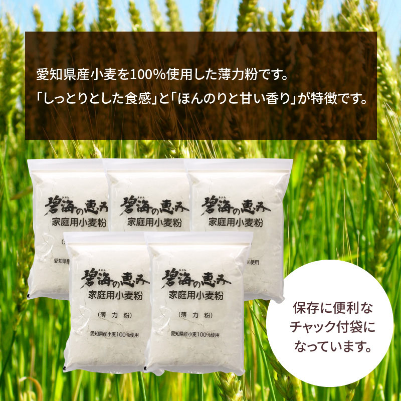 【小麦粉】碧海の恵み 薄力粉 国産 愛知県産 800g×5袋(計4kg)　H008-223