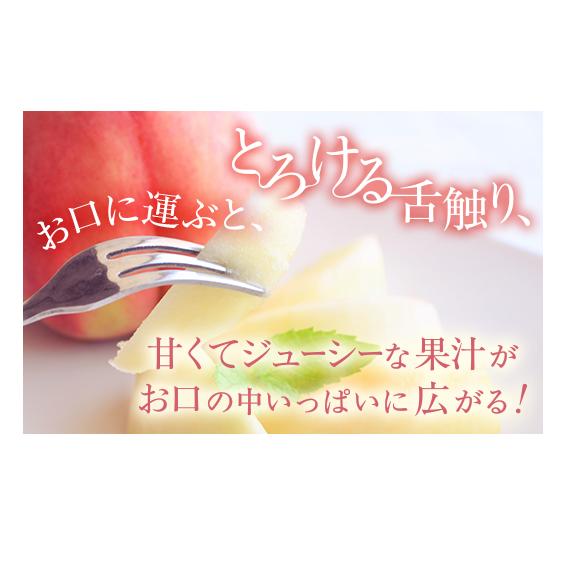 【産直・人気の特産品】和歌山の桃　約2kg・秀品◇ ｜ モモ 国産 フルーツ お取り寄せ ギフト
※北海道・沖縄・離島への配送不可
※2025年6月下旬～8月上旬頃に順次発送予定_イメージ3