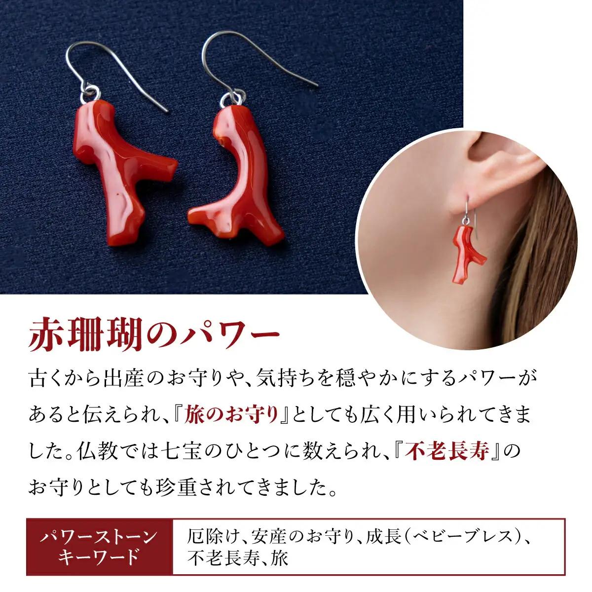血赤珊瑚 ピアス 珊瑚