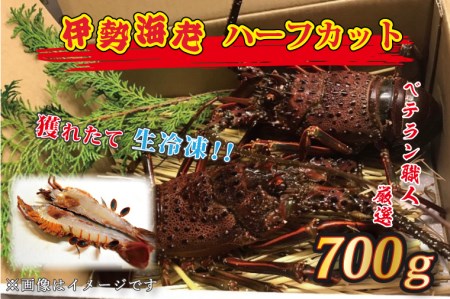 生冷凍 伊勢海老 ハーフカット 700g _AP030
