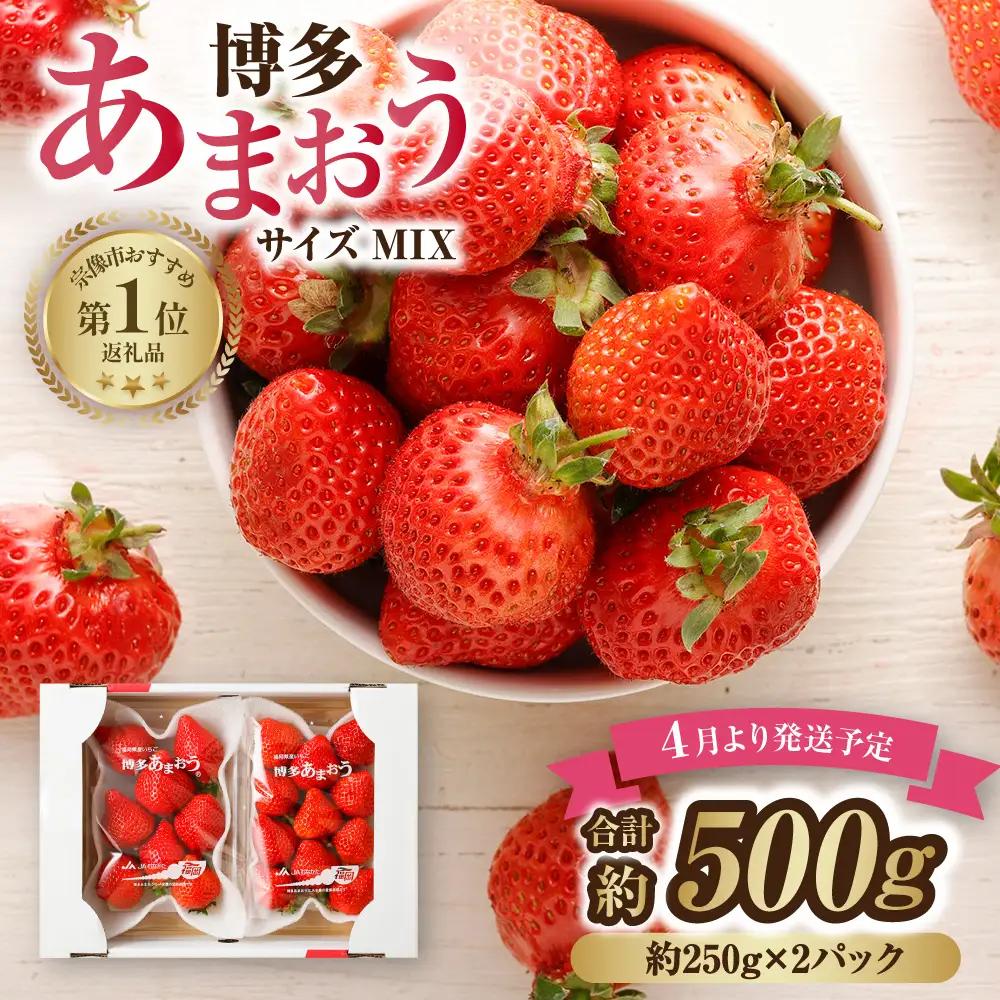 【先行予約】【アフター保証】4月発送！JAよりお届け！「博多あまおう」約250g×2パック【ほたるの里】_AS1938-00 ふるさと 納税 果物 フルーツ 甘い イチゴ 苺 あまおう デザート 旬 手土産 プレゼント いちご 博多あまおう 福岡
