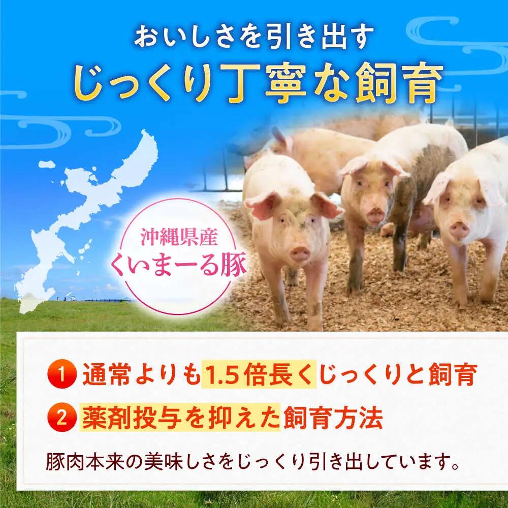 豚肉焼肉セット200g×各3P 豚肉 小分け BCAJ001