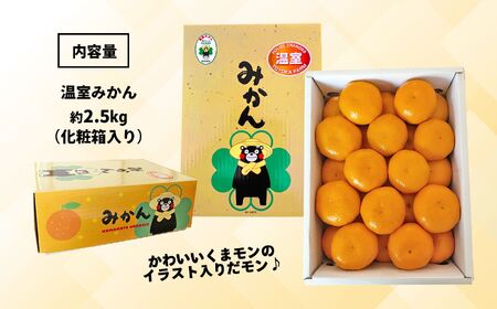 【 贈答用 】温室みかん  約2.5kg｜豊華の夢ロード ※化粧箱入り