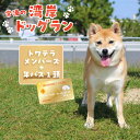 【ふるさと納税】【海を一望できるドッグラン 利用チケット】トワテラメンバーズ＋年パス 1頭 犬 ペット 天然芝 おでかけ 知多半島 観光 体験チケット プール トリミング ペットホテル 犬用ホテル カフェ ペット同伴 犬連れ