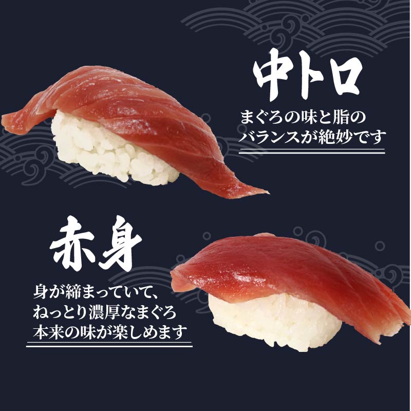 寿司 マグロ 南 まぐろ 20貫 セット 中トロ 5枚 赤身 15枚 ミナミまぐろ 握り 南鮪 南まぐろ ミナミマグロ すし 加納商店 静岡県 藤枝市