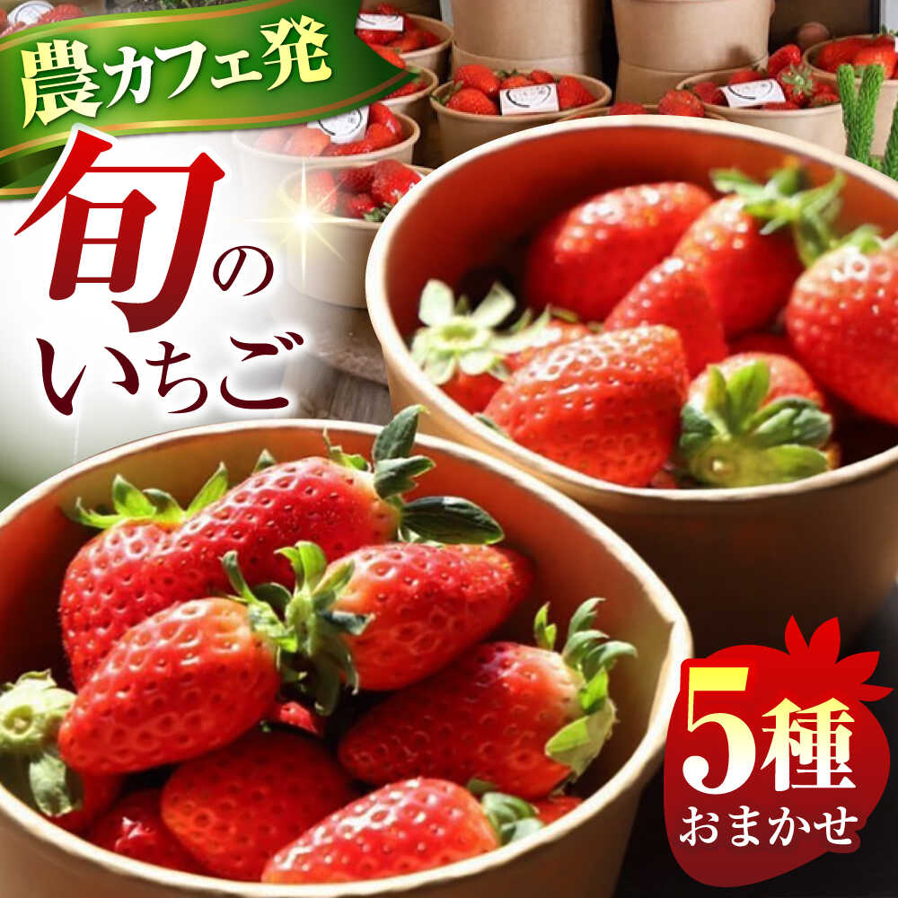 【ふるさと納税】発送月が選べる いちご 5品種 計 約1kg おまかせ 食べ比べセット 農 × カフェ 旬のフルーツ / いちご 食べ比べ やよいひめ 苺 とちおとめ / 亀山市 / TSUMUGI舎[AMCF001]