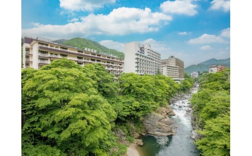 鬼怒川温泉ホテル ペア宿泊券【和室】【夕食：個室でご用意（和会席）／朝食：ブッフェ】 | 宿泊券 旅館 ホテル 温泉 旅行 観光 クーポン 世界遺産 日光