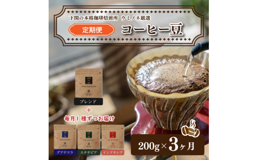 
スペシャリティ コーヒー豆 定期便 200g×3回 下関市 山口
