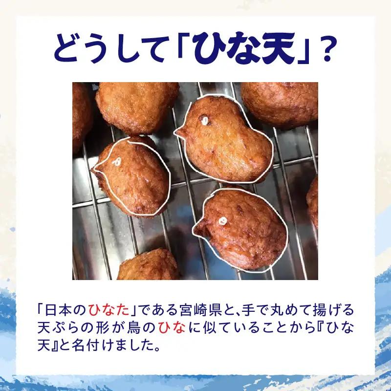 魚のすり身の天ぷら「ひな天」 さつま揚げ 未利用魚 天ぷら オオニベ