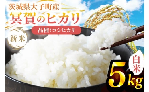 【先行予約】【9月下旬より順次発送予定】新米5kg 「冥賀のヒカリ」コシヒカリ（白米）令和7年産 ｜茨城県 大子町 奥久慈 天日干し米 おだがけ米 はざがけ米 いねかけ米 米 精米 ご飯 数量限定(DA001)