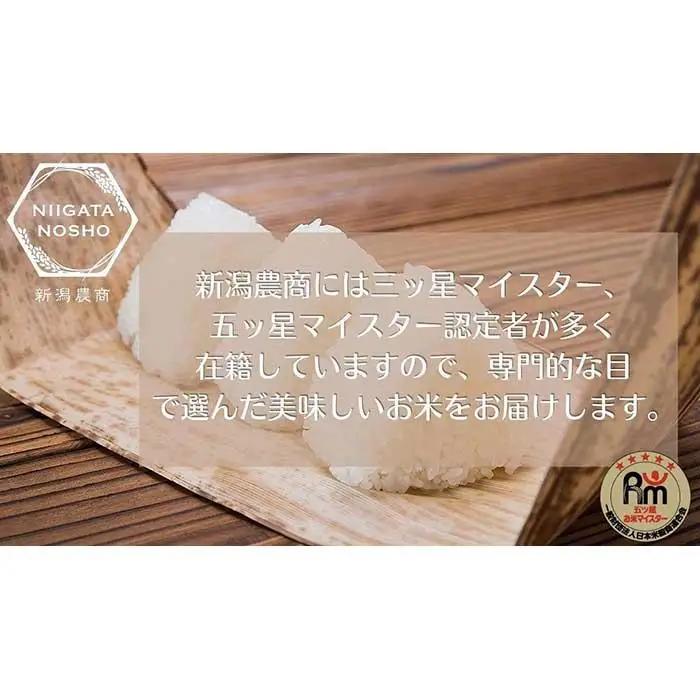【令和7年産】五ッ星マイスター厳選　魚沼産コシヒカリ　5kg×2