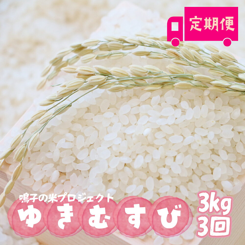 【ふるさと納税】鳴子の米プロジェクト ゆきむすび3kg×3回 定期便【2025年産】｜宮城県大崎市鳴子温泉産米