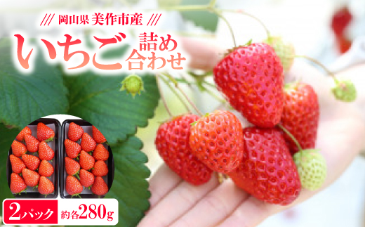 【2025年4月発送開始】岡山県美作市産　いちご詰合せ(約280g×2パック)【配送不可地域：離島・北海道・沖縄県】