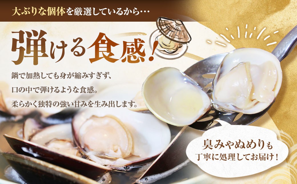 日の出 桑名産 天然はまぐり鍋セット（出汁付）約4人前