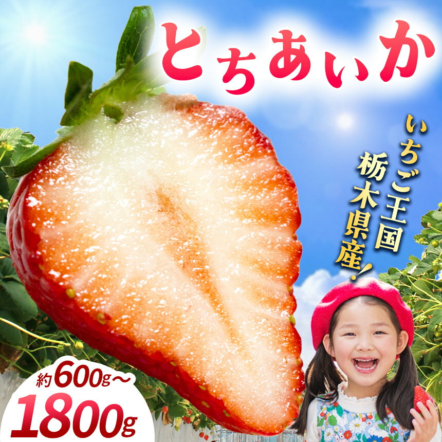 【ふるさと納税】【先行予約】【期間限定】 いちご イチゴ 苺 人気 限定 朝摘み 那珂川町産 大粒 とちあいか 選べる グラム数 選べる発送月 300g以上×2 300g以上×2×2 300g以上×2×3 | ジューシー 新鮮 甘い 美味しい 果物 フルーツ デザート 栃木県 那珂川町 送料無料