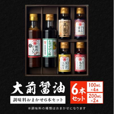ふるさと納税 安芸高田市 大前醤油おまかせ 100ml×4本と200ml×2本セット 調味料 醤油 [No5895-0749]