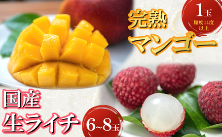 【令和8年6月ごろより発送】先行予約 完熟マンゴーと生ライチのセット マンゴー 生ライチ