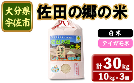 ＜定期便・総３回＞＜令和7年産＞佐田の郷の米 アイガモ米(計30kg)お米 白米 ごはん ヒノヒカリ ひのひかり ブランド米 常温 常温保存 定期便【211701100】【雅設置プロジェクト　佐田の郷の会】