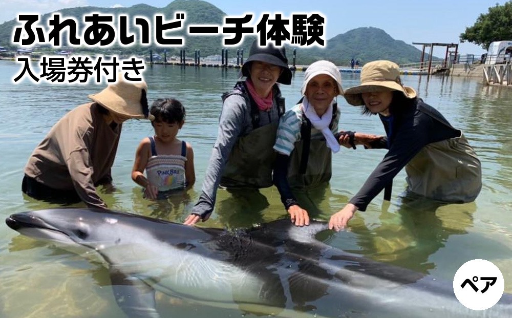 
            ふれあいビーチ体験 ペア 入場券付き【体験 イルカ ドルフィン 日本ドルフィンセンター 香川県 さぬき市】
          